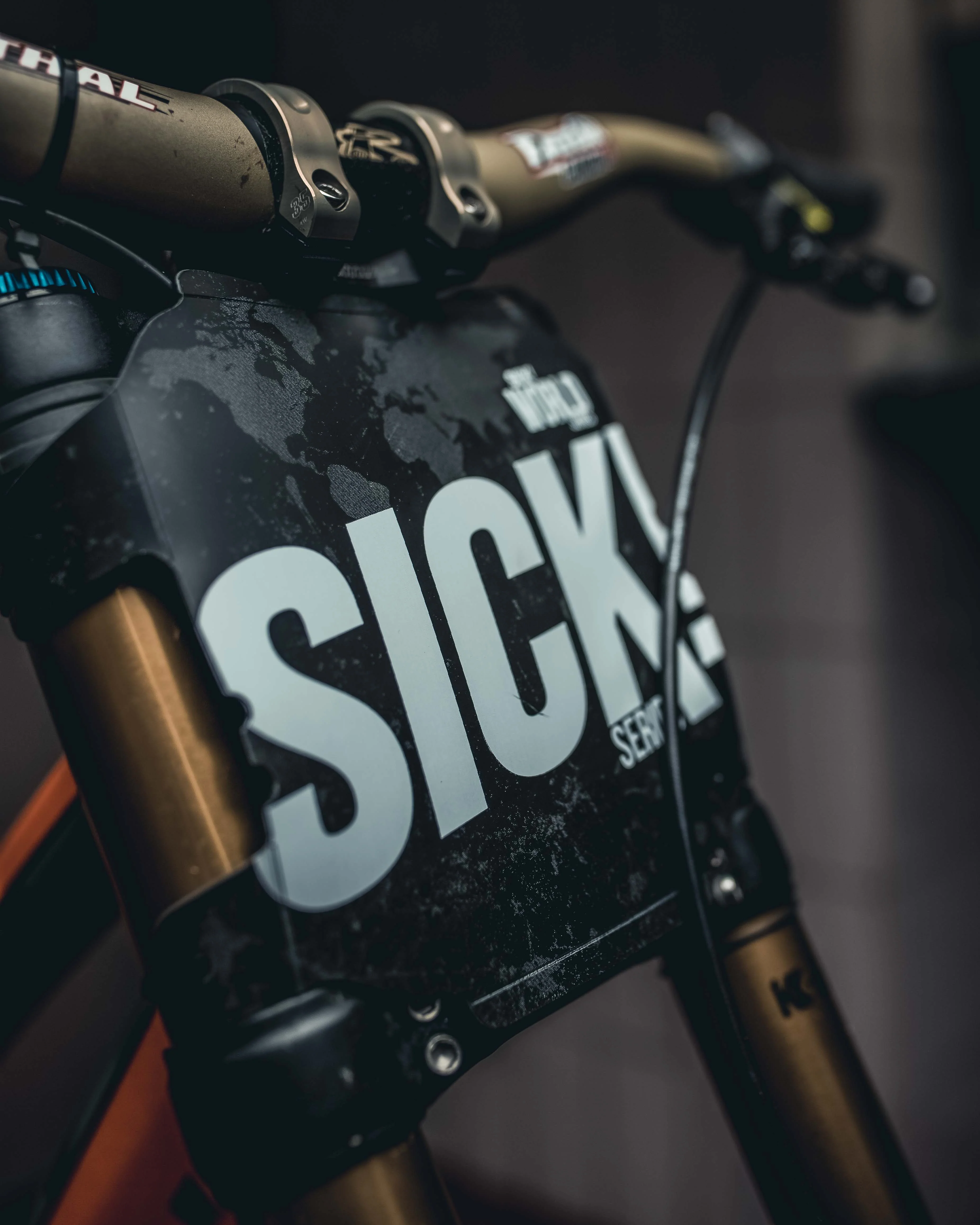 Numberplate `Ride the World´ by Riesel Designs - Image 3