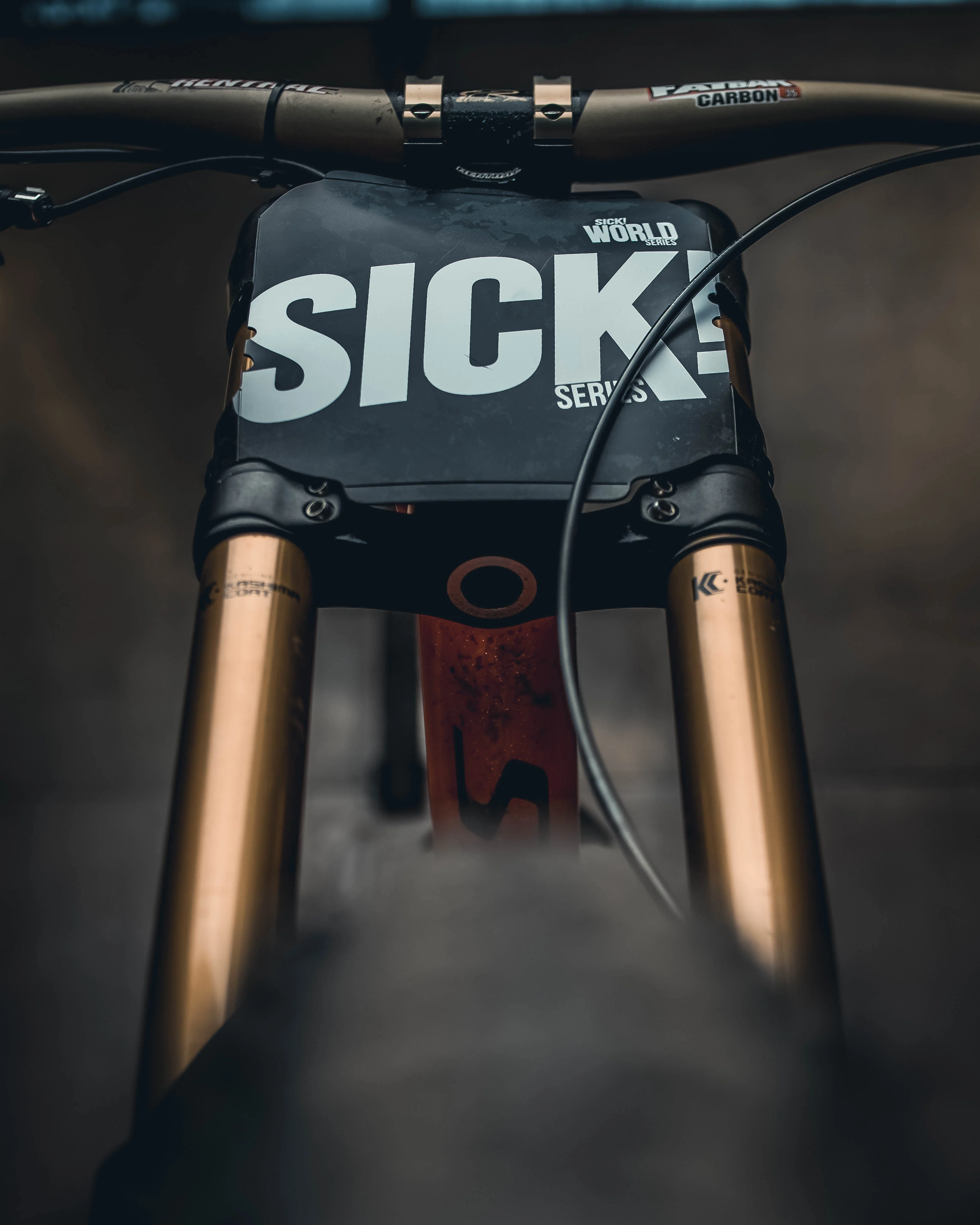 Numberplate `Ride the World´ by Riesel Designs - Image 4