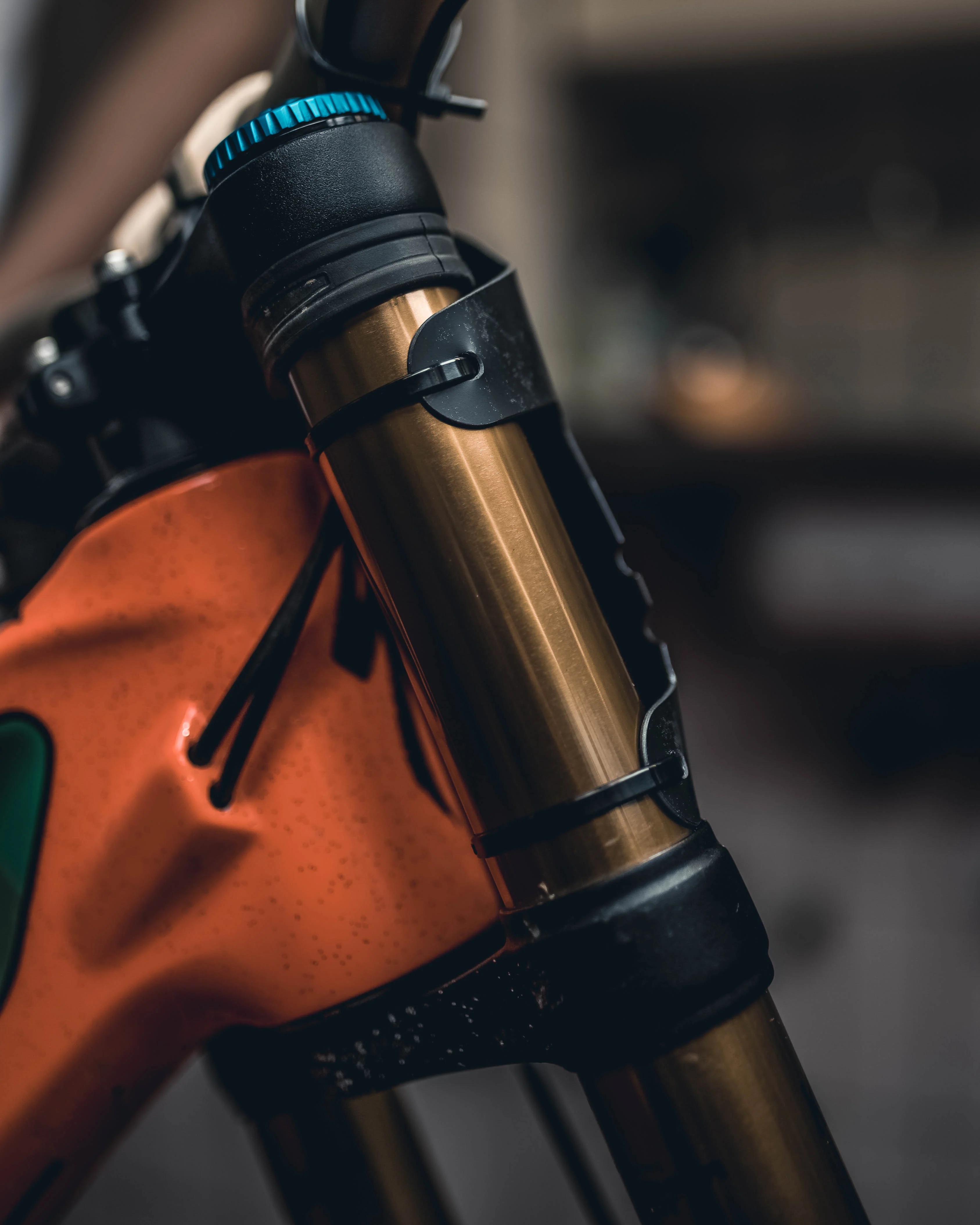 Numberplate `Ride the World´ by Riesel Designs - Image 5